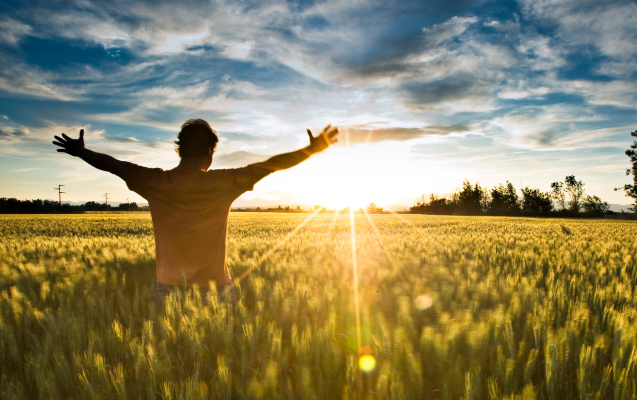 12 Financial Wellness Lifestyle Tips